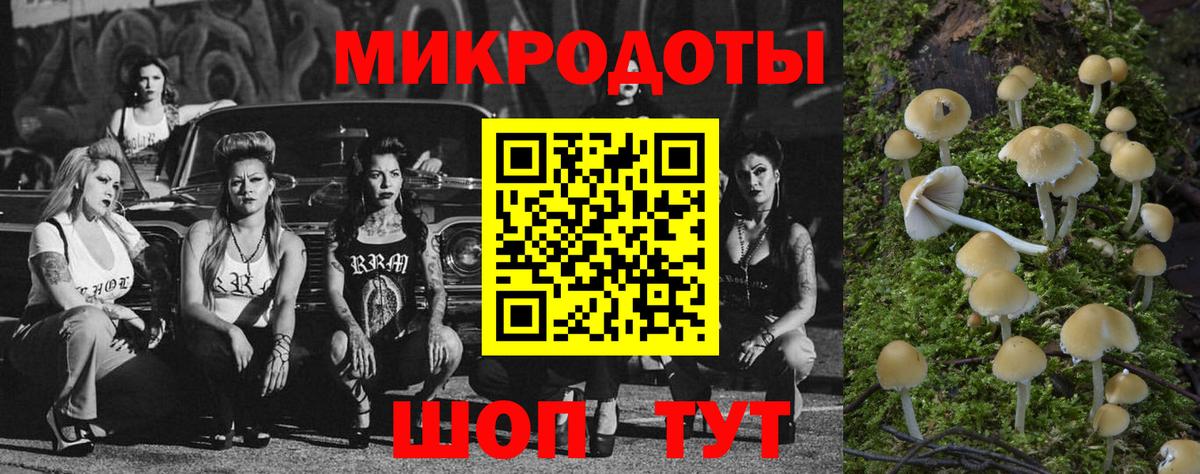Псилоцибиновые грибы MAGIC MUSHROOMS  Вход с VPN  Усть-Илимск  Псилоцибиновые грибы прущие грибы 