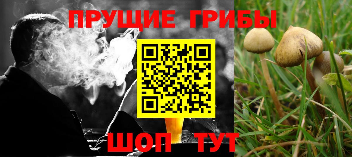 Псилоцибиновые грибы мицелий Усть-Илимск